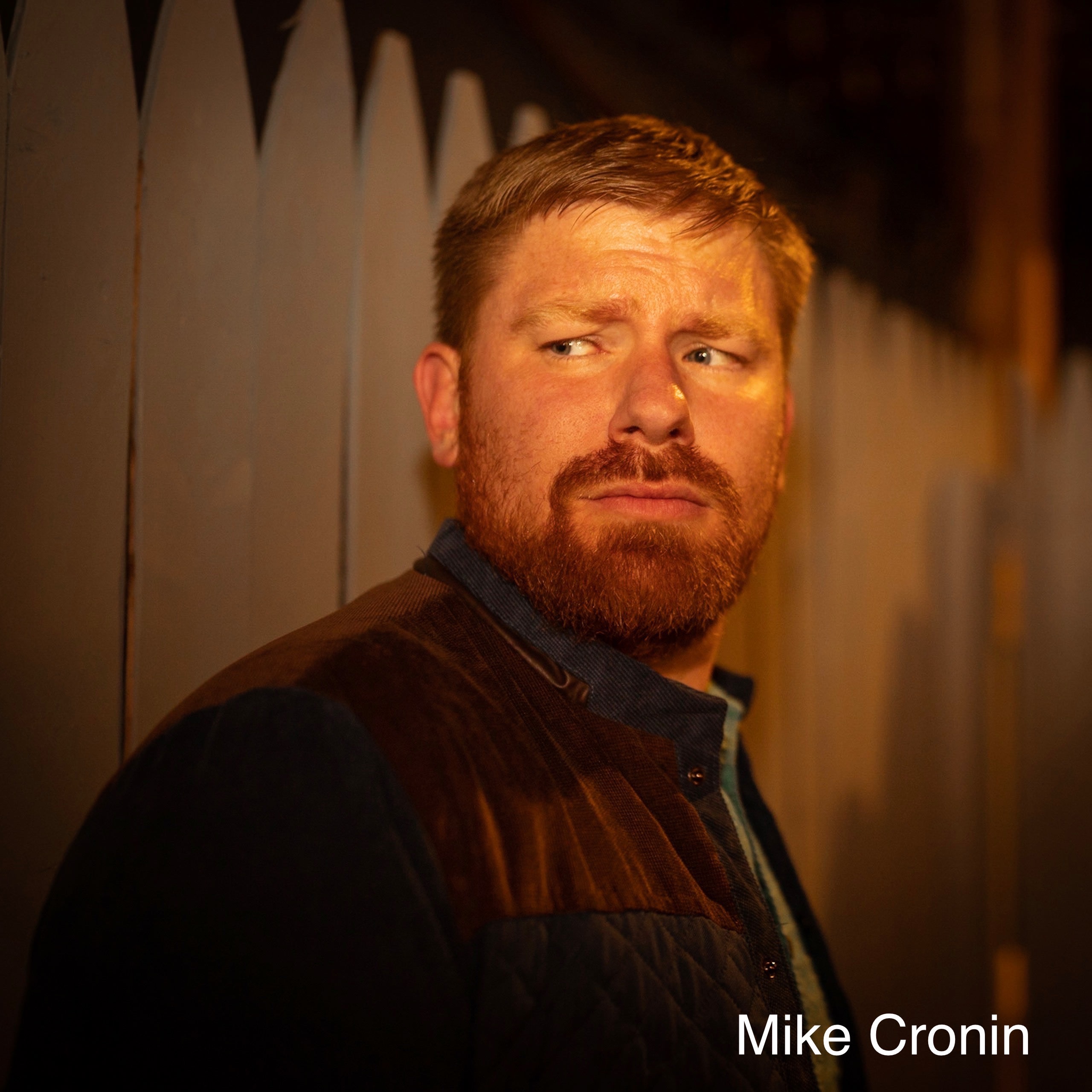 Mike Cronin headshot
