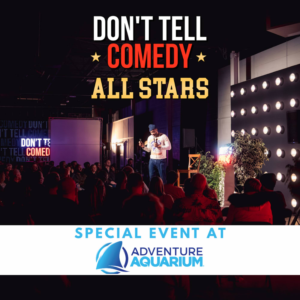 Previous Don't Tell Comedy show