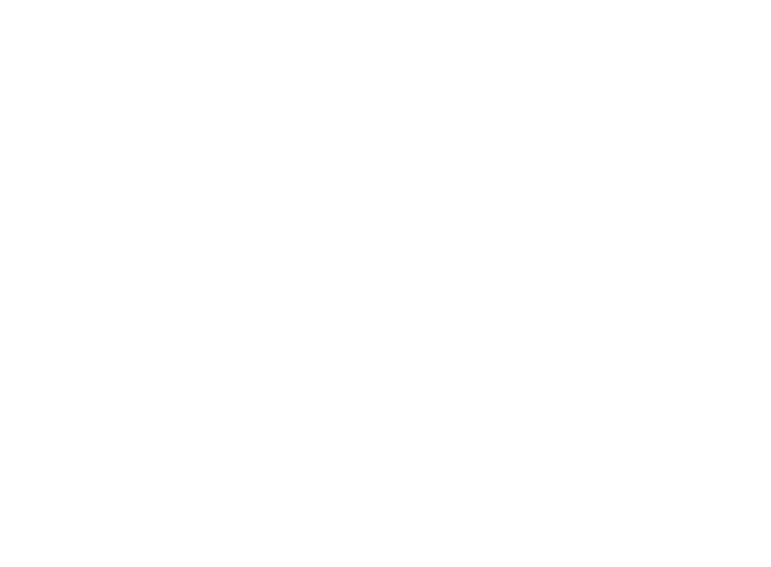 Ivywild School Gymnasium logo