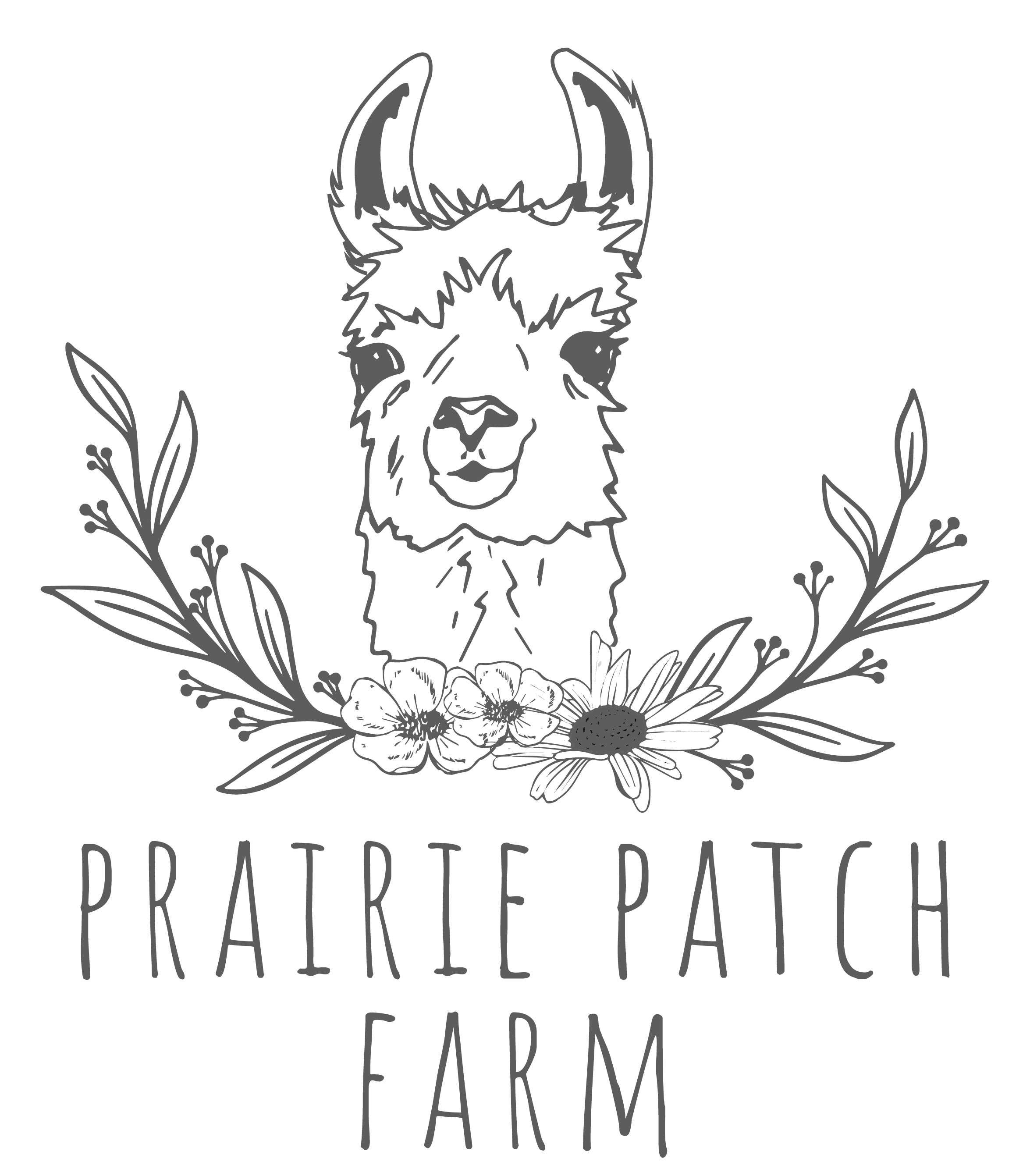 Llama Laughs at Prairie Patch Farm logo